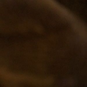 Meet your Posher, Abigail